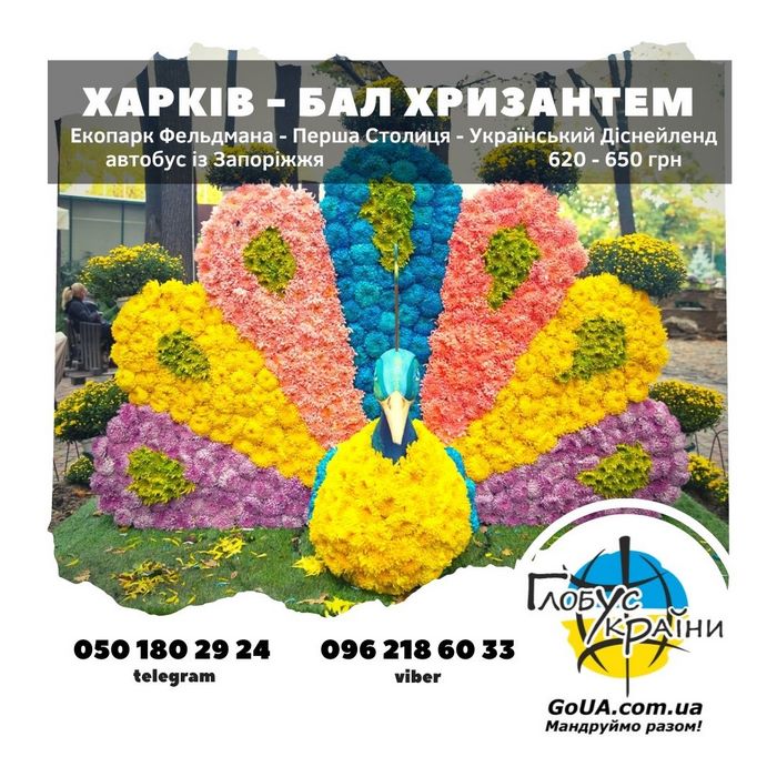 харьков бал хризантем глобус украины экскурсия из запорожья